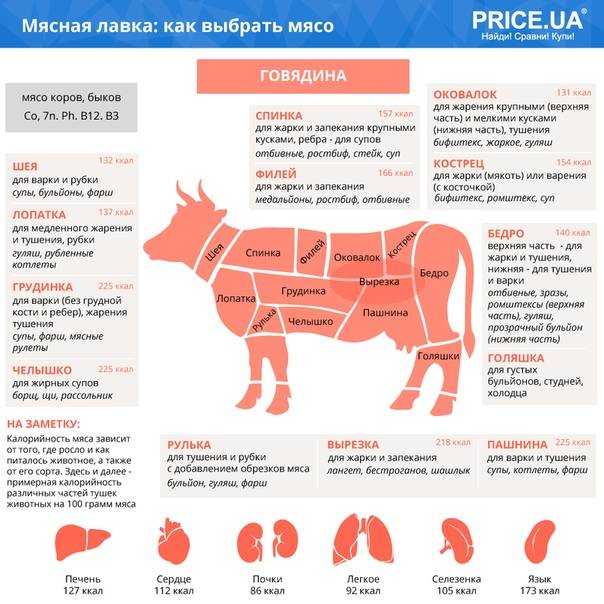 Как и сколько времени варить говядину?
