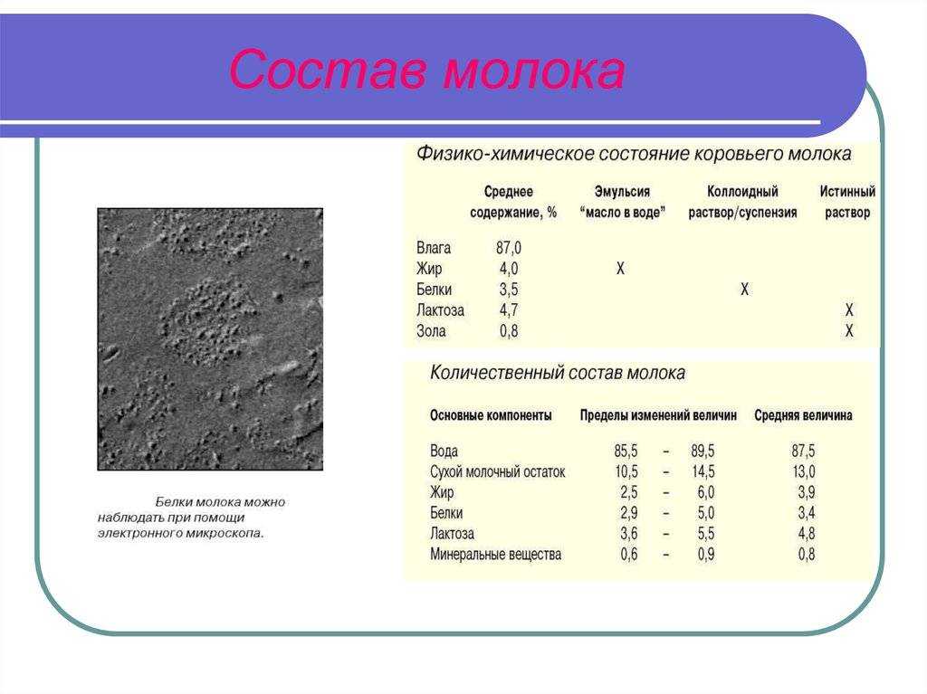 Состав молока. Химический состав молока. Химический состав молока коровьего. Составь коровьего молока.