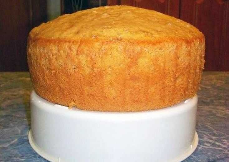 Бисквит для торта пышный и простой: 11 рецептов в духовке