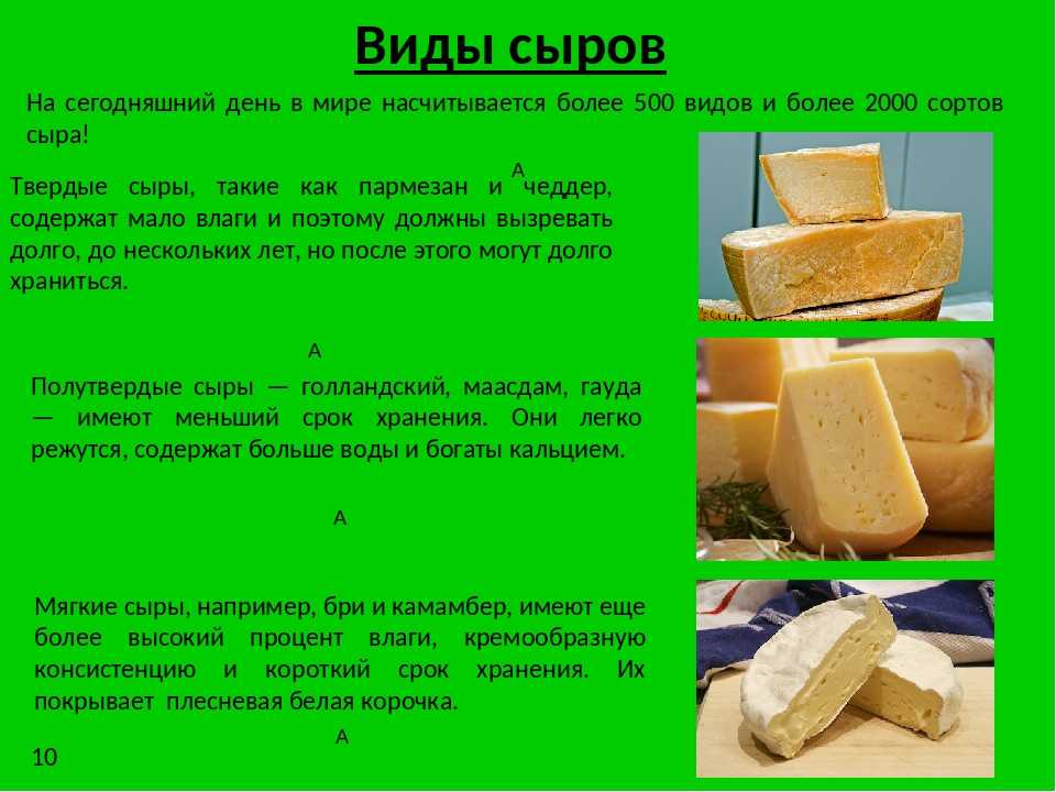 Будучи в сыром виде. Сыры презентация. Презентация сыра. Сыр для презентации. История происхождения сыра.