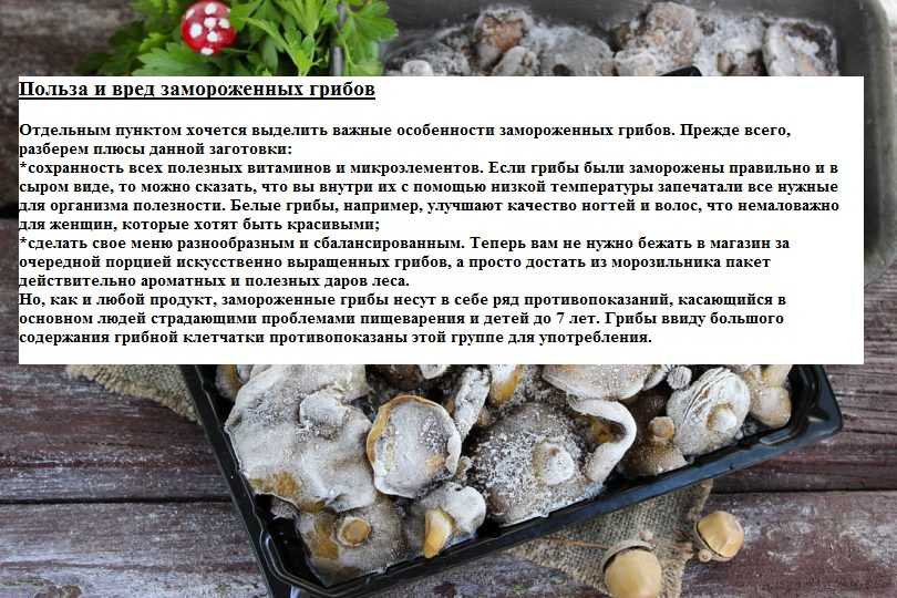 Cколько варить бобрятину Какой вкус у мяса бобра Сколько вымачивать мясо бобра перед варкой