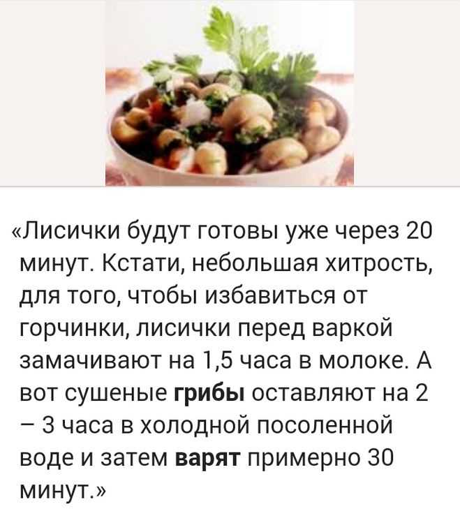 👨‍🍳 сколько варить грибы: правила расчета времени и предварительная подготовка selo.guru — интернет портал о сельском хозяйстве
