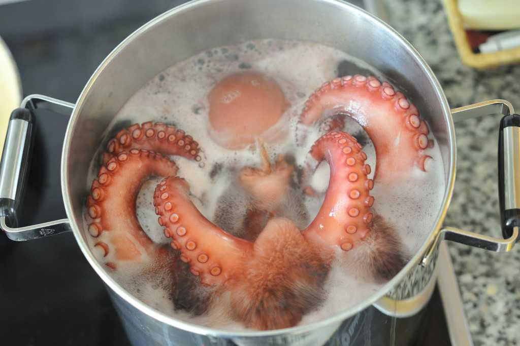 Как варить осьминожек замороженных. готовим маленьких осьминогов: секреты лучших поваров