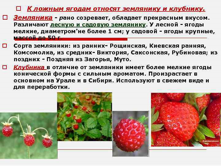 Варенье из черники на зиму - 8 вкусных фото рецептов