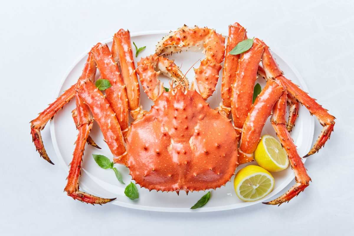 Клешни камчатского (королевского) краба