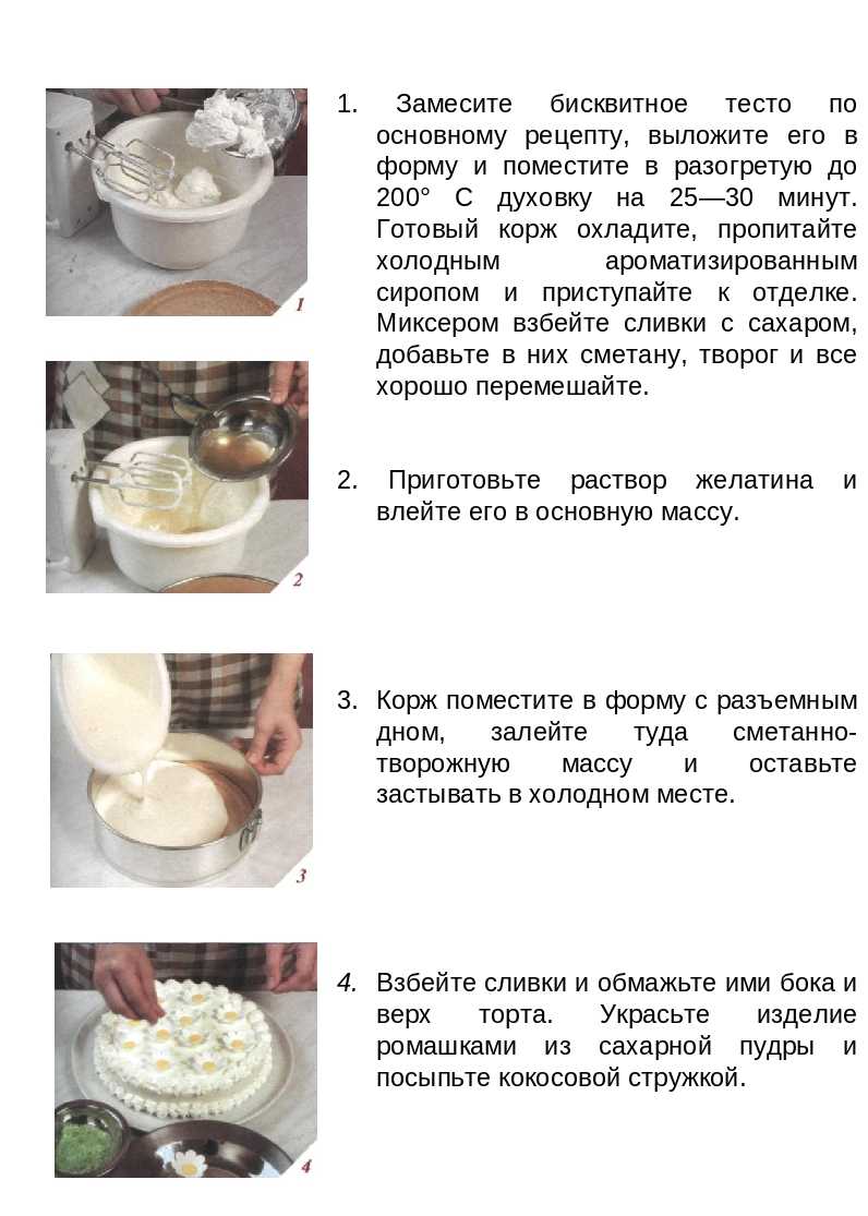 Бисквитный торт со сливочным кремом рецепт с фото пошагово
