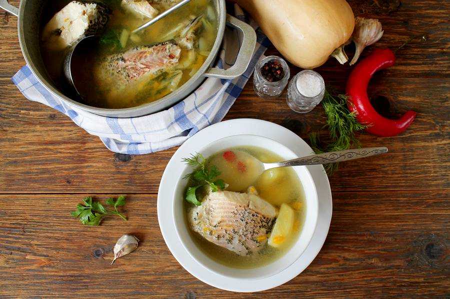 Суп из щуки. Уха из щуки. Суп уха. Уха в тарелке. Суп с рыбой.