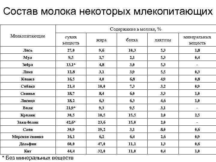 Когда можно вводить молочные каши в прикорм и питание ребенка?