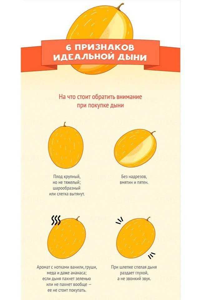 Как правильно выбрать вкусную дыню торпеду ? как выбрать хорошую дыню ? продукты питания