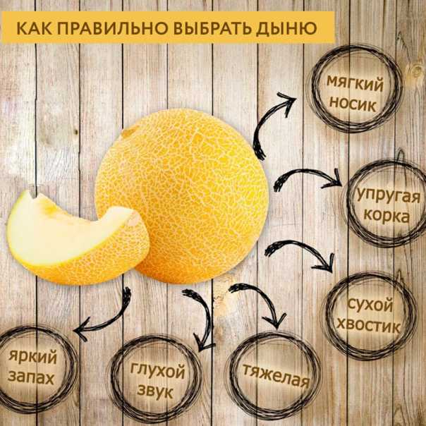Дыня торпеда: как выбрать сладкую, спелую, как выращивать