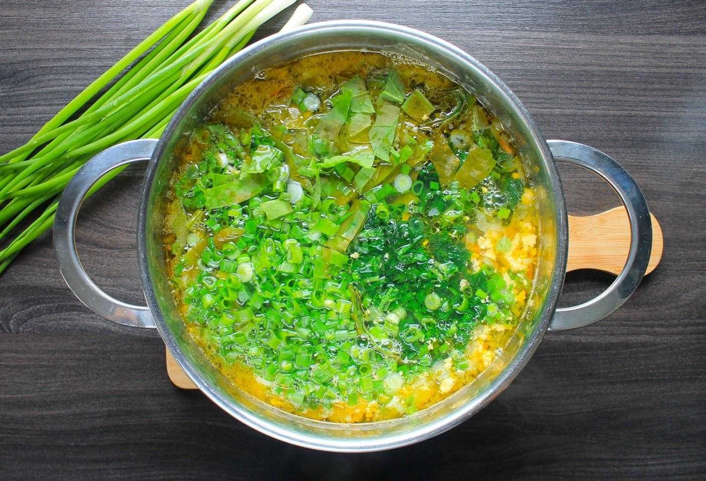 Суп из щавеля и крапивы с тушенкой и яйцом рецепт с фото