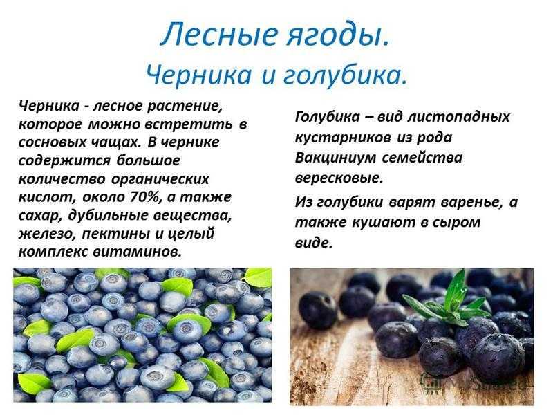 Варенье из черники пятиминутка на зиму: 10 простых рецептов с фото