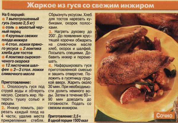 Куриный бульон: как правильно варить из курицы, петуха, чтобы получился прозрачным, советы