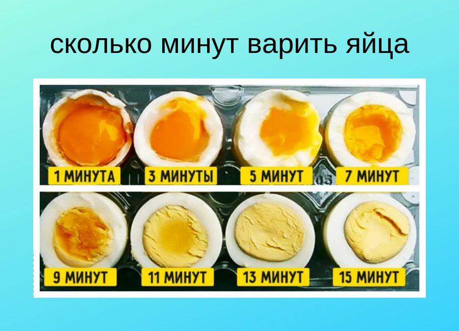 Сколько варить яйца: 🥚 как всмятку и вкрутую перепелиные после закипания