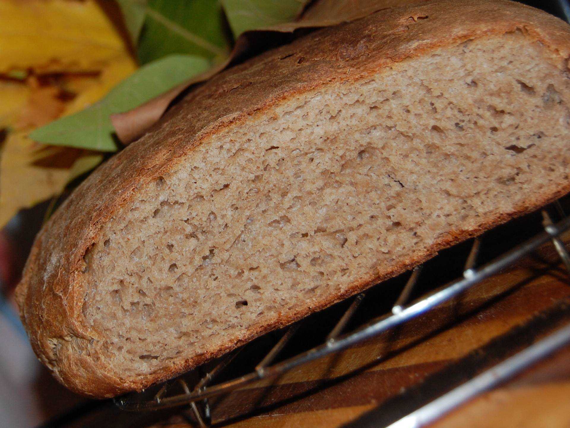 Ржаной хлеб на солоде в домашних условиях. Ржаной хлеб. Домашний хлеб. Домашний ржаной хлеб в духовке. Хлеб цельнозерновой на закваске в хлебопечке.