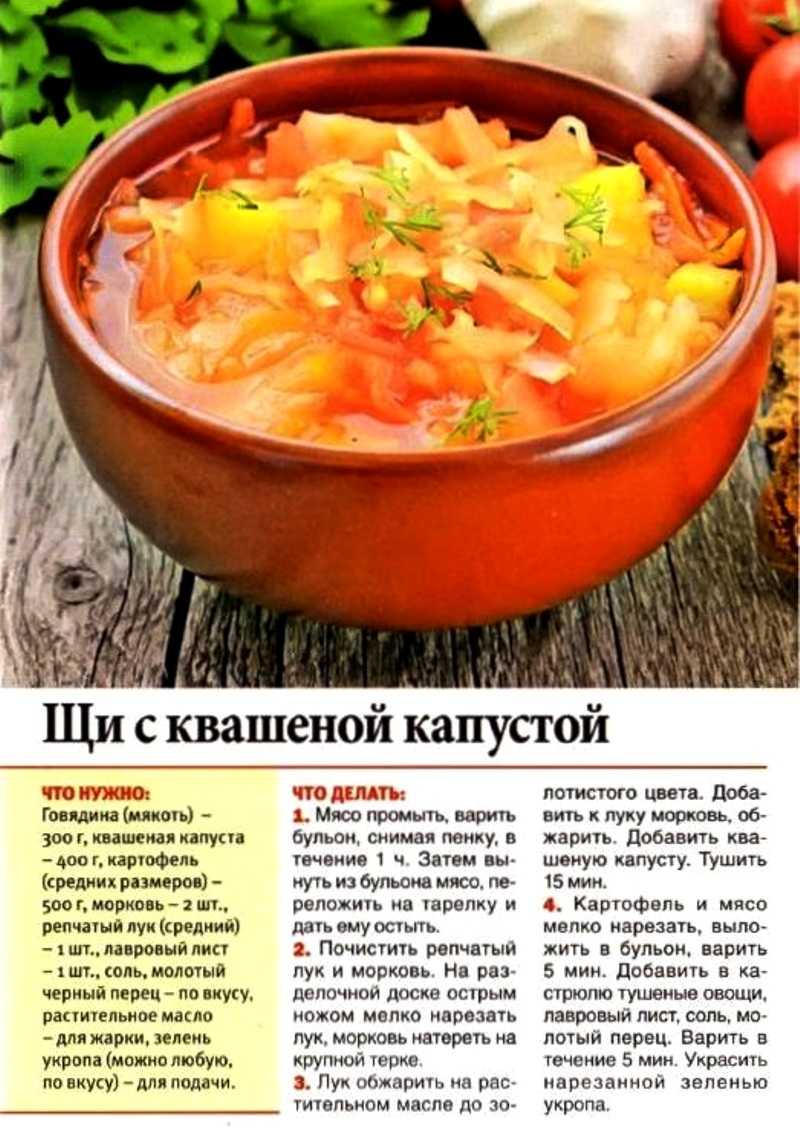 Щи из свежей капусты с говядиной и помидорами — вкусный рецепт
