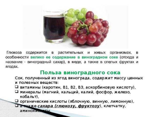 Какие фрукты можно и нельзя употреблять во время беременности? • центр гинекологии в санкт-петербурге