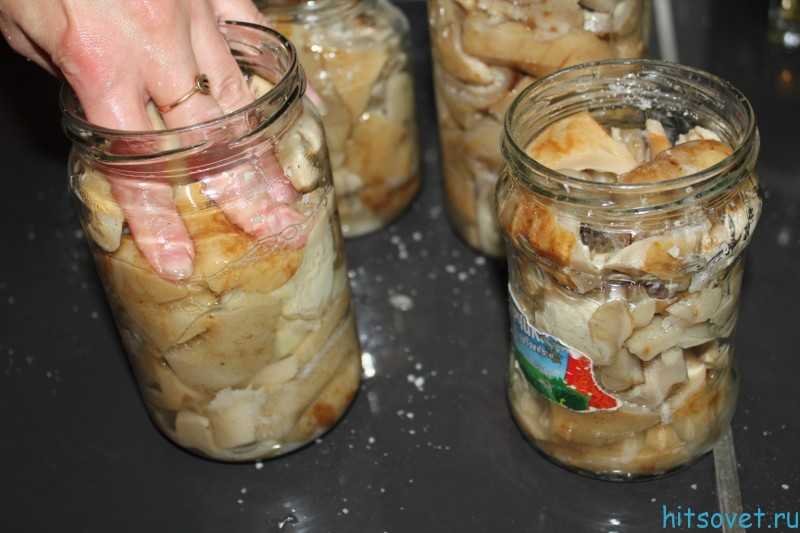 Почему вздулись крышки на банках с рыжиками и что делать?