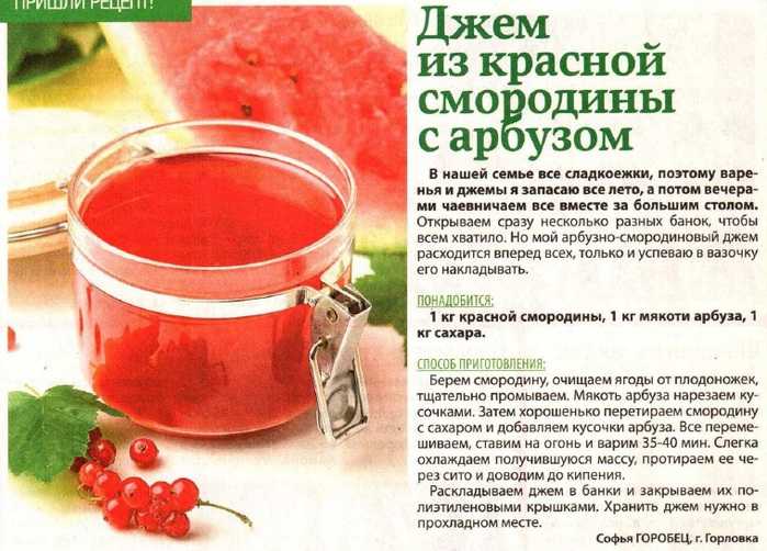 Желе из красной смородины на зиму - 10 простых рецептов с фото пошагово