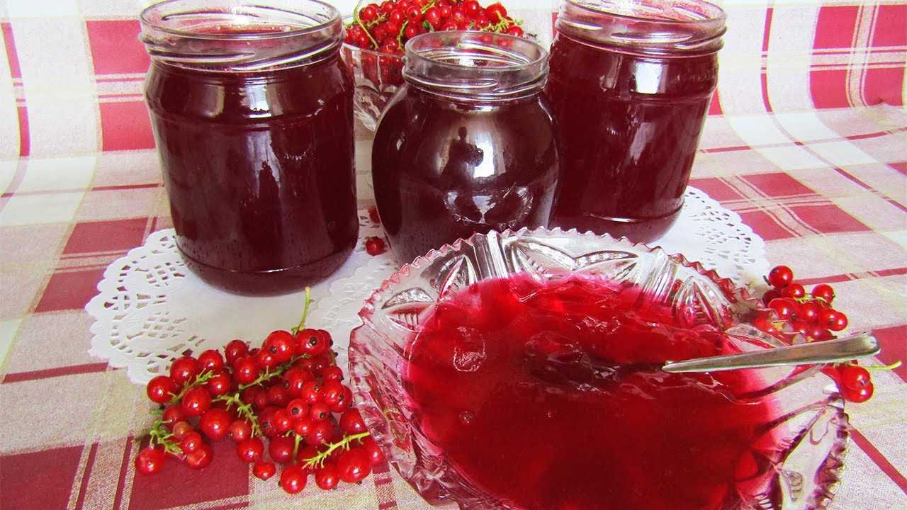 Джем из красной смородины: 5 способов заготовки – как приготовить смородиновый джем быстро и просто