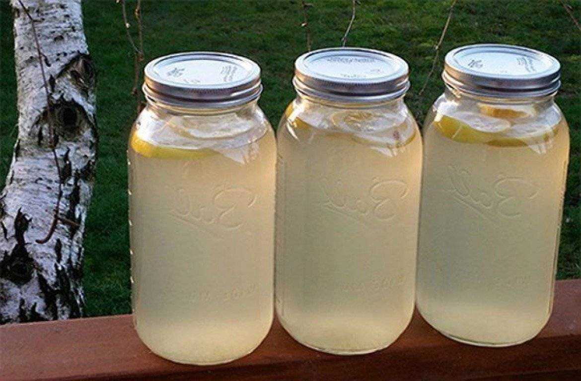 Как консервировать березовый сок дома на зиму