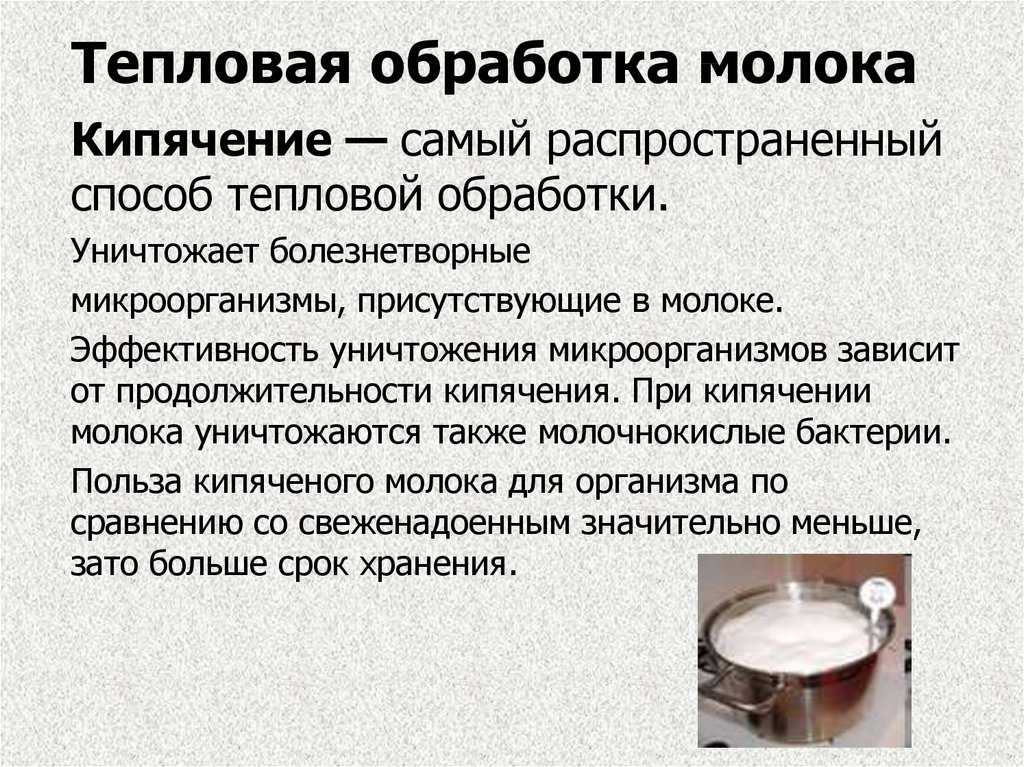 Нужно ли кипятить суп после холодильника