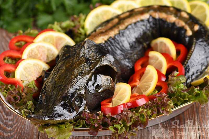 20 вкусных блюд из судака, которые ты будешь готовить снова и снова