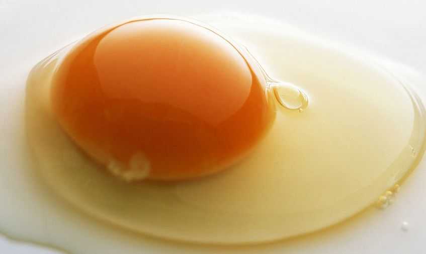 Как заморозить яйца » сусеки