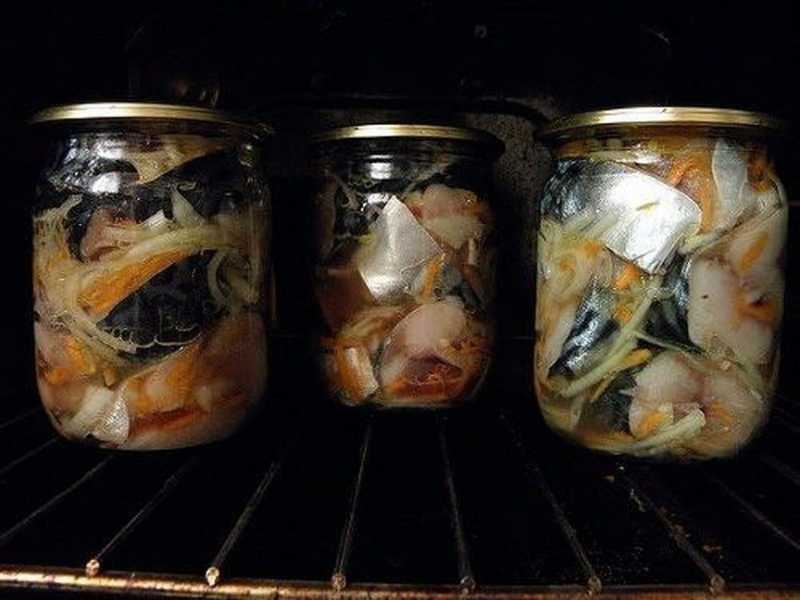 Очень вкусная скумбрия, соленая в домашних условиях: 9 простых рецептов