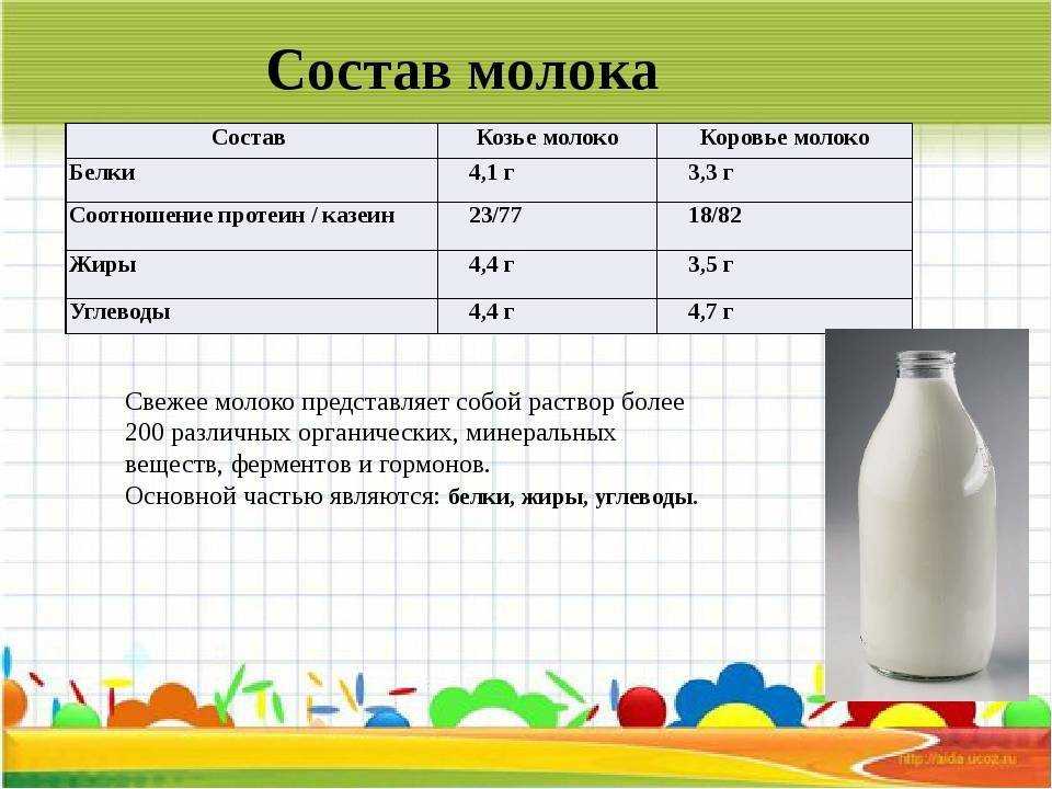 Какой состав молока коровьего