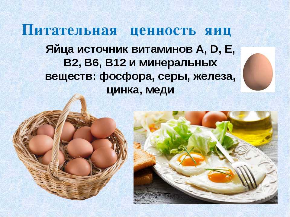 3 яйца в день можно. Яйца для презентации. Информация о куриных яйцах. Яйцо полезные вещества. Яйца куриные для презентации.