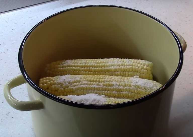 Варить початках в кастрюле. Кукуруза в кастрюле. Вареная кукуруза. Кукуруза соленая вареная. Вареная кукуруза в кастрюле.