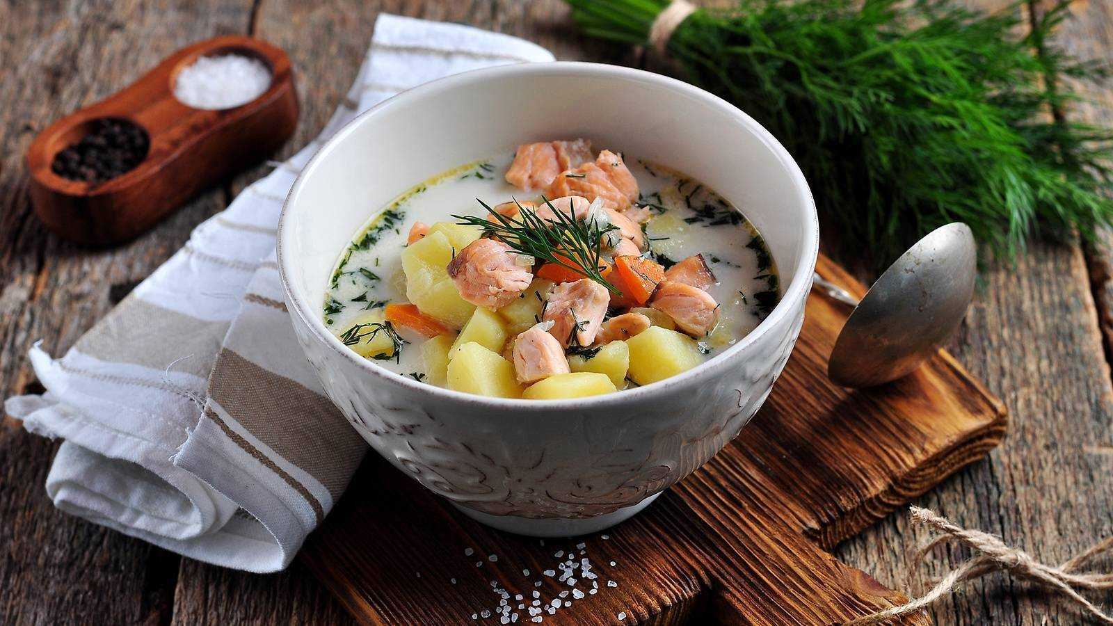 Суп из семги: рецепты с соленой, со слабосоленой рыбой, рыбным стейком; уха