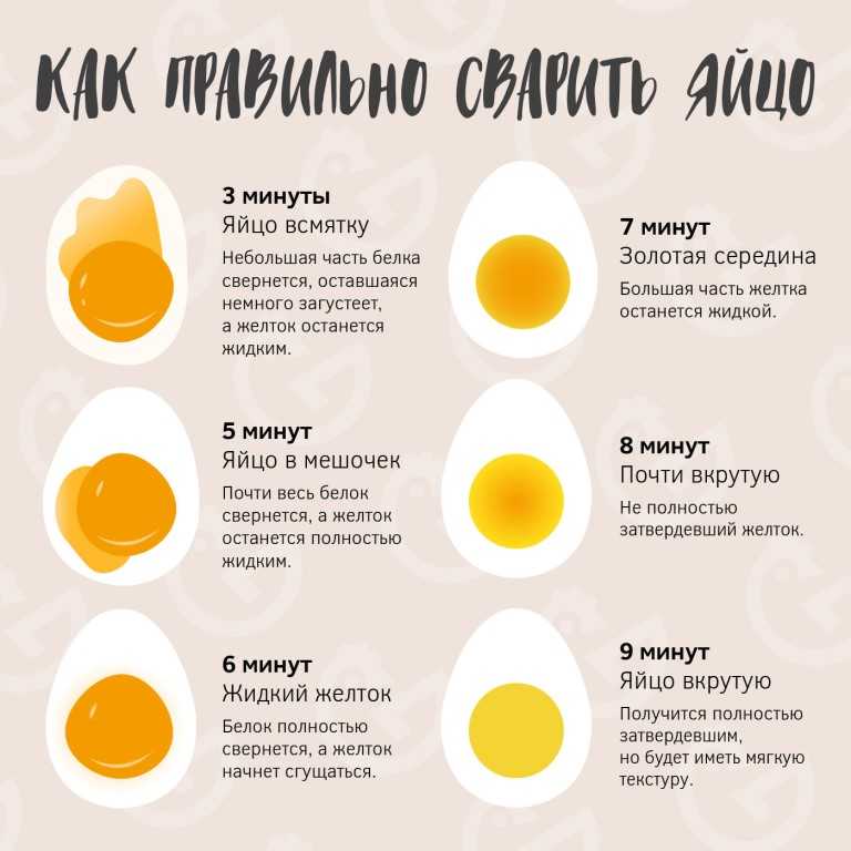 Сколько варится страусиное яйцо Как отваривать страусиные яйца