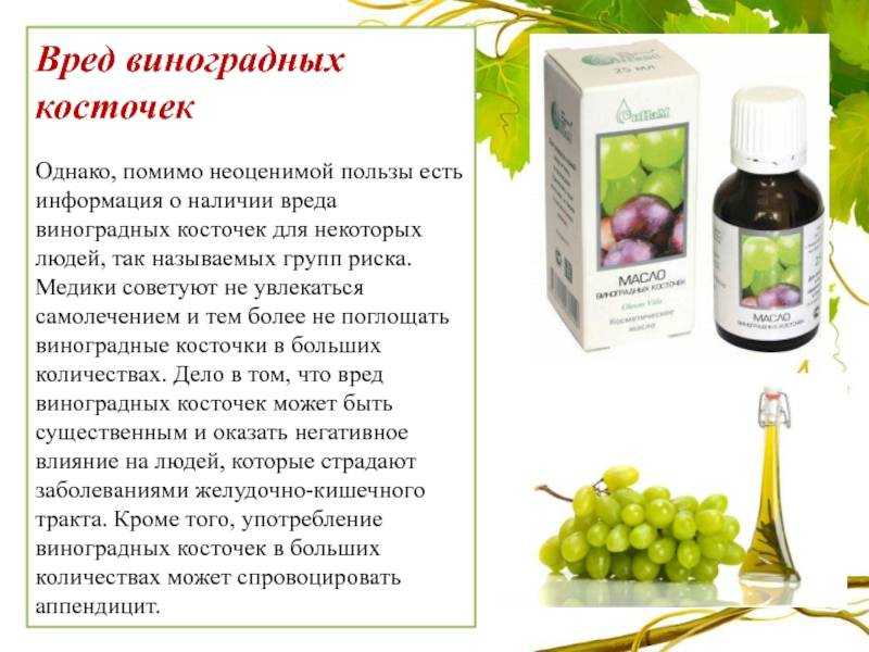 Можно ли есть виноград с косточками и что будет, если их много употреблять, кому можно есть виноградные косточки, их польза и вред, ответ докторов